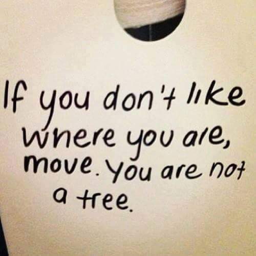 FB_IMG_1455887809616.jpg image