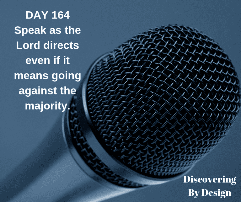 DAY 164