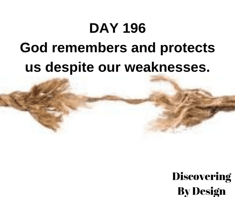 DAY 196