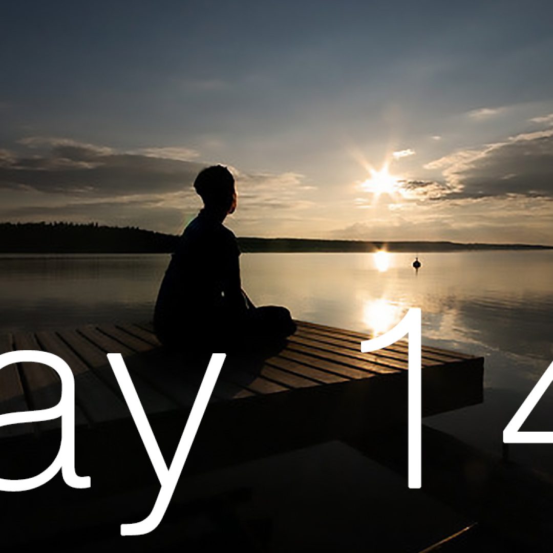 100-days-of-Meditation-Day-14-2.jpg