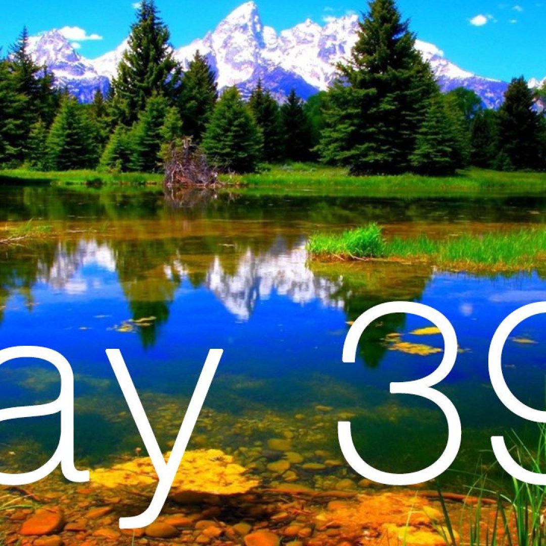 daily-insights-Day-39-28c5bm4.jpg