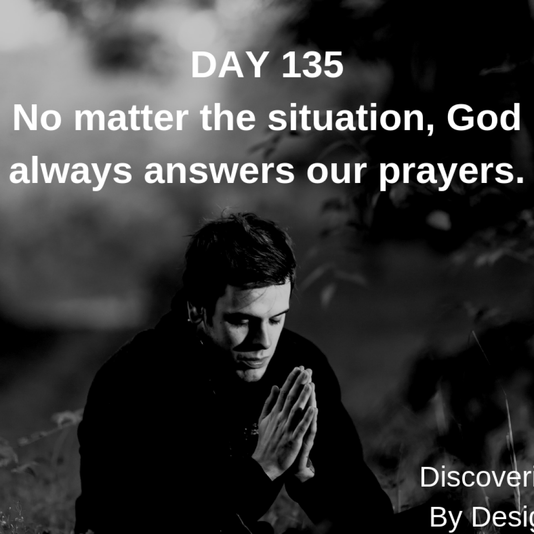 DAY 135