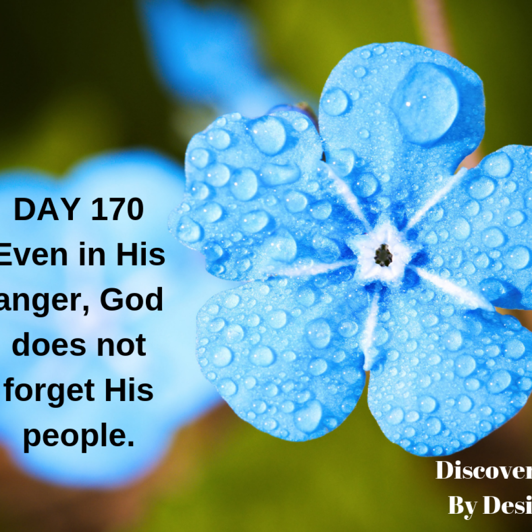 DAY 170