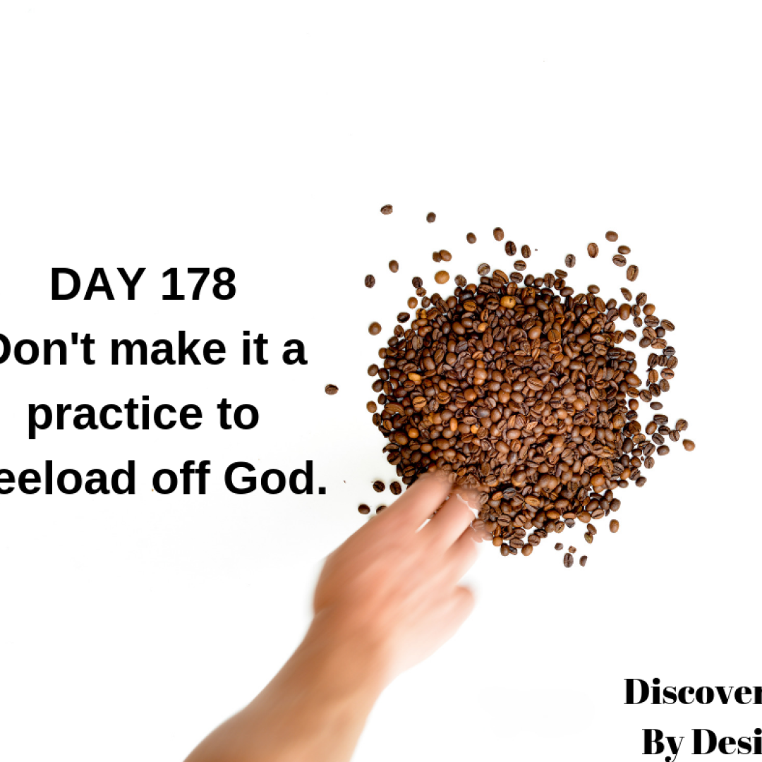 DAY 178