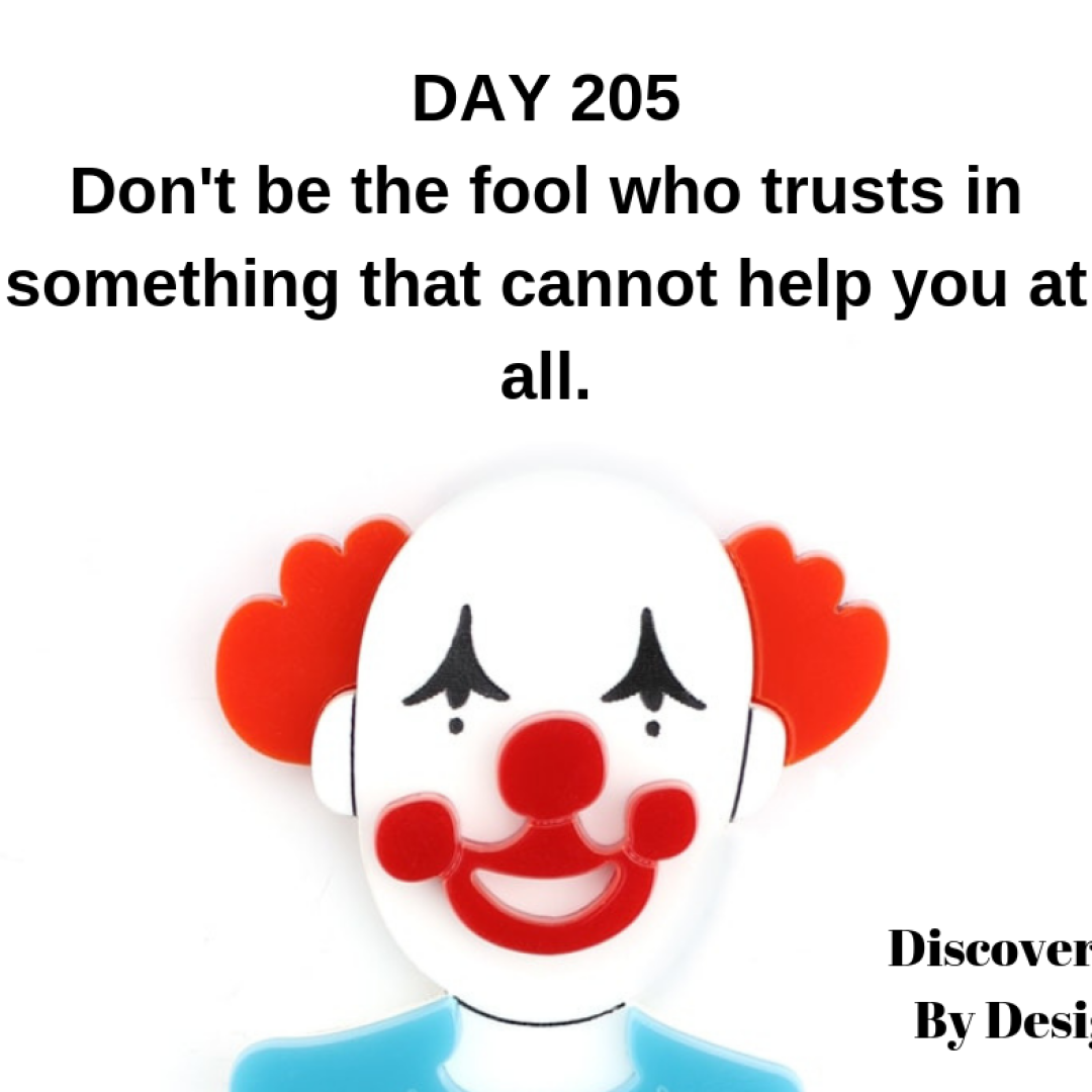 DAY 205