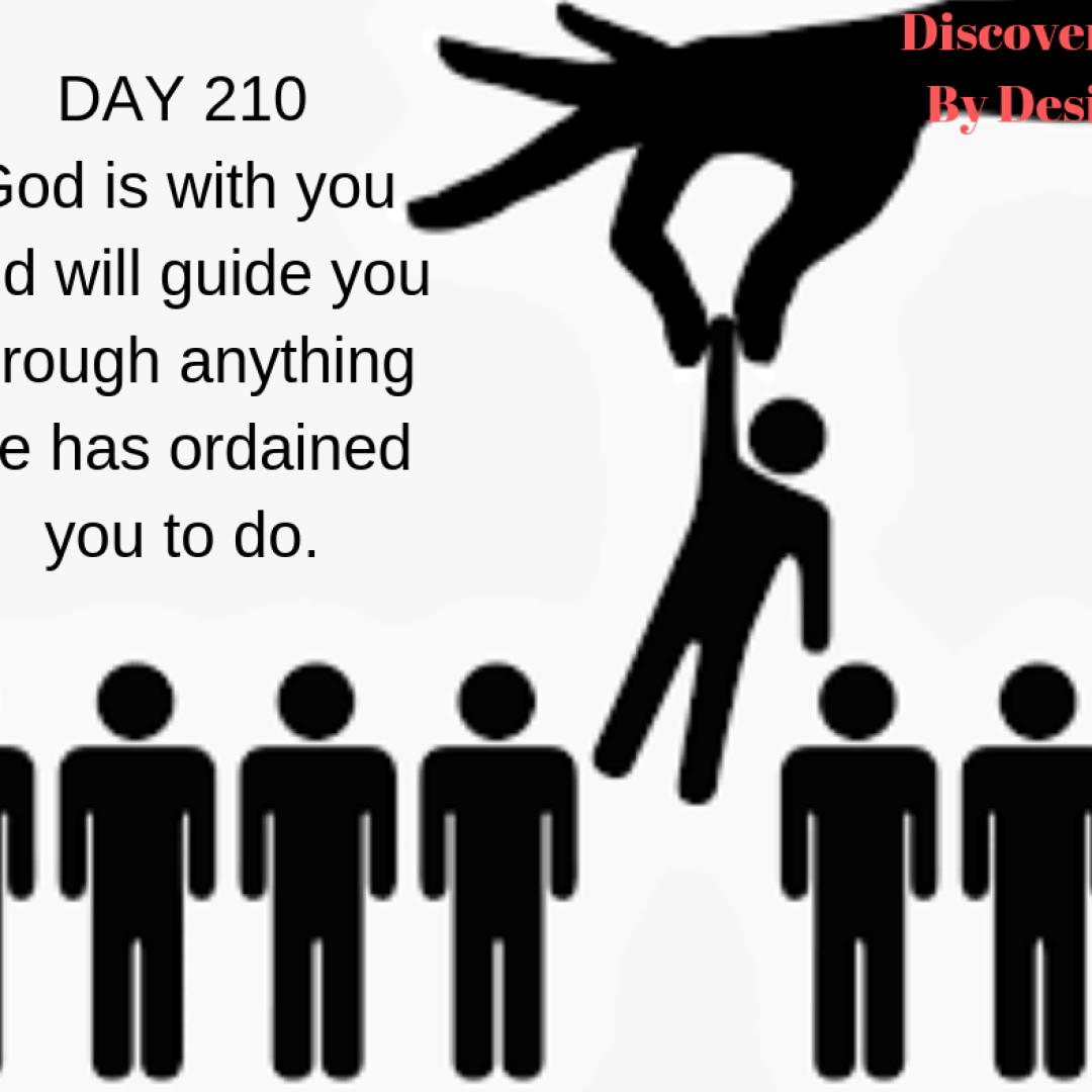 DAY 210