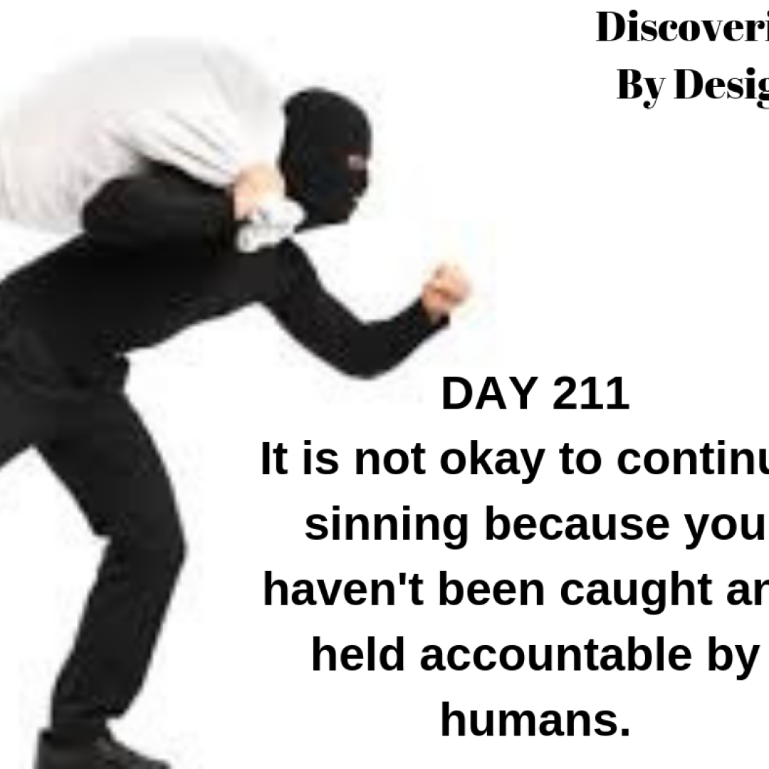 DAY 211