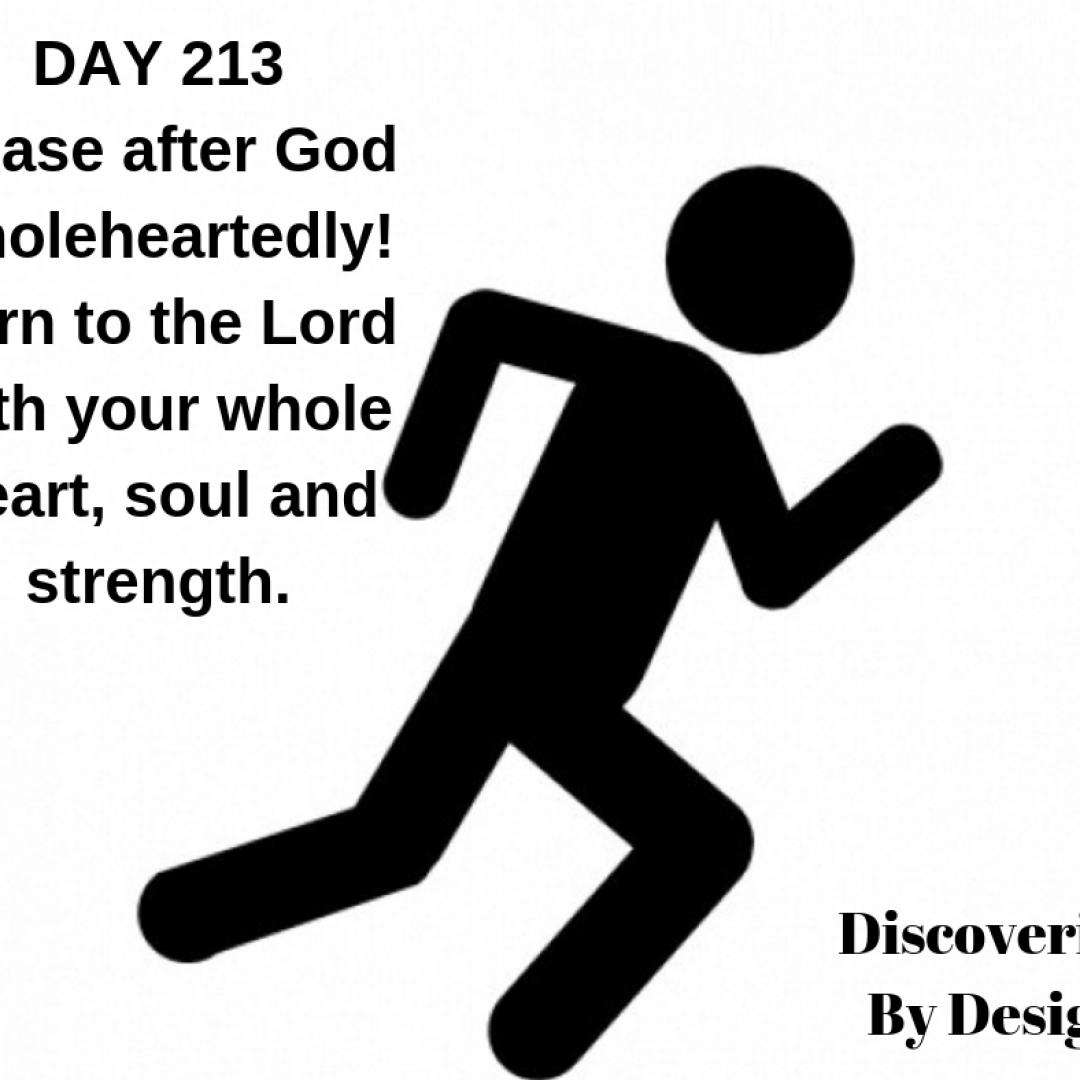 DAY 213