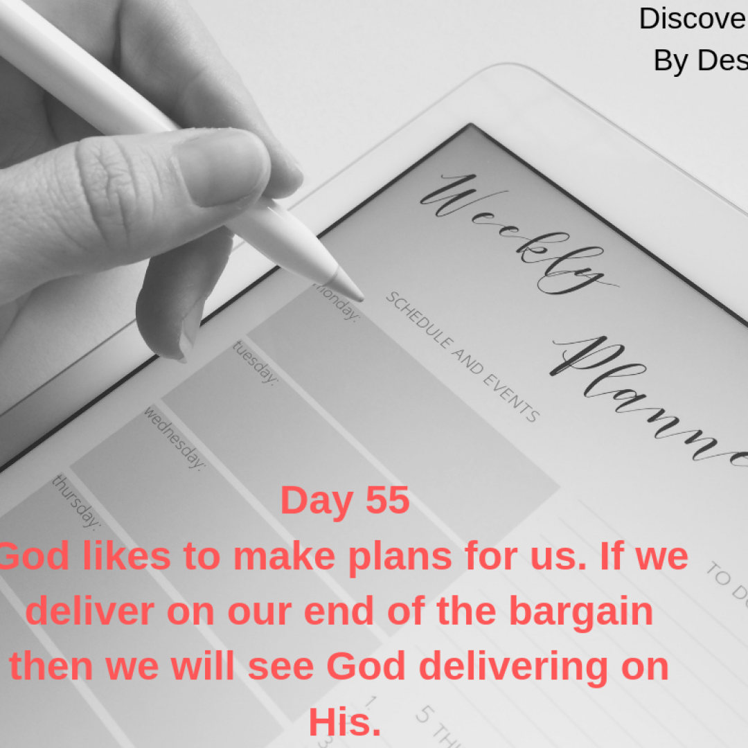 Day 55
