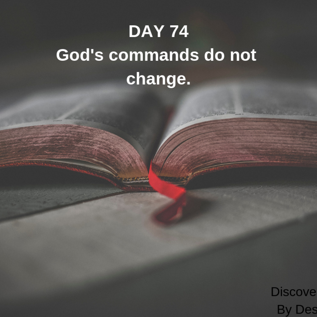 DAY 74