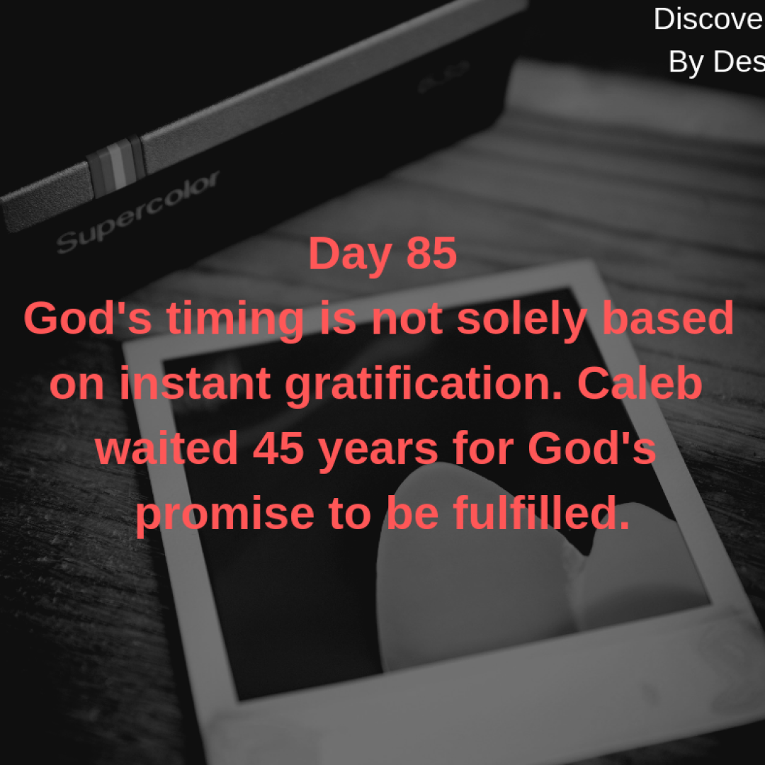 Day 85