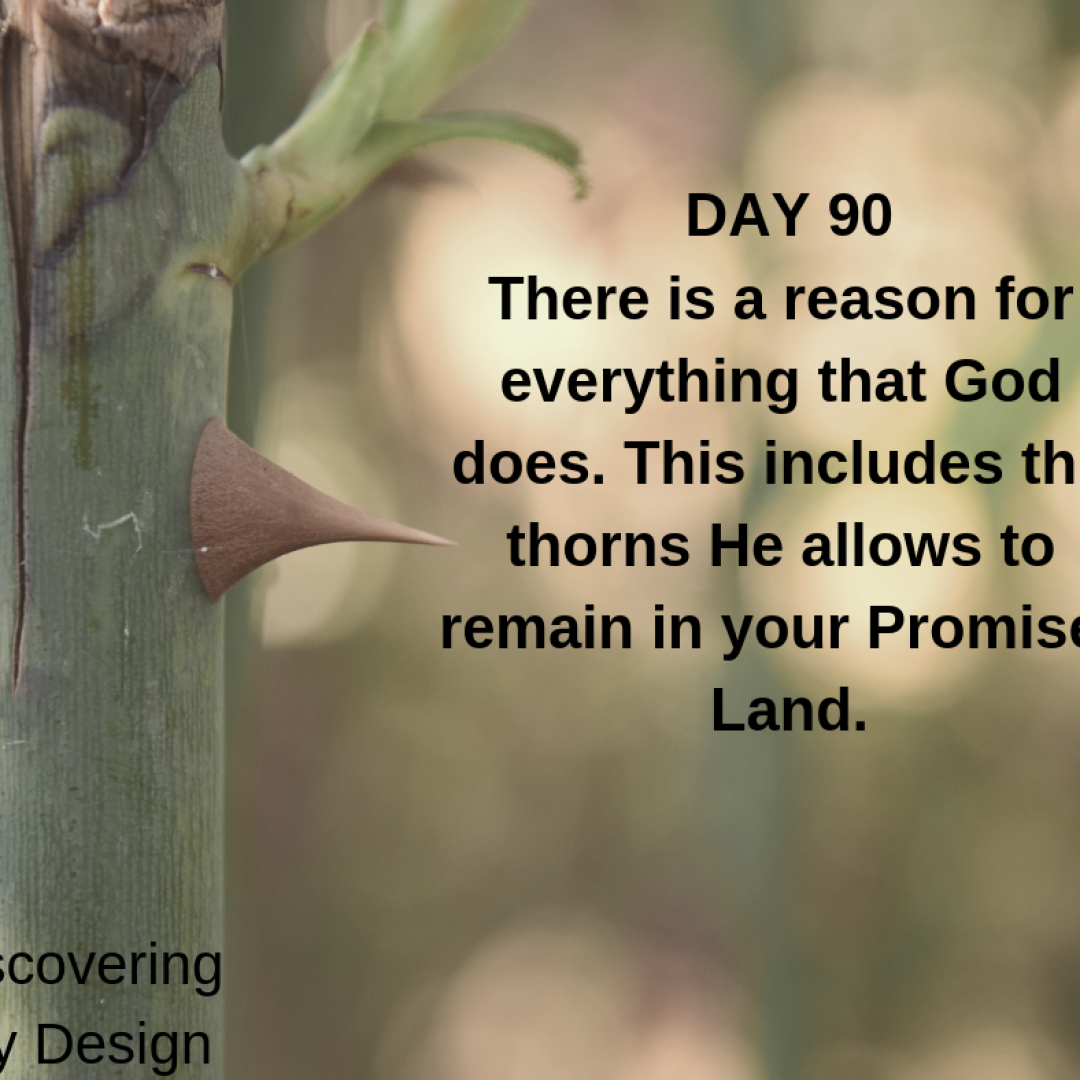 DAY 90